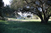 Enlarge photo 102