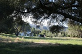 Enlarge photo 103