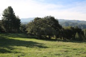 Enlarge photo 128
