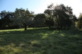 Enlarge photo 132