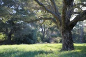 Enlarge photo 135