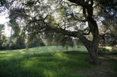 Enlarge photo 140