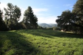 Enlarge photo 142