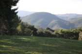 Enlarge photo 143