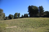 Enlarge photo 170