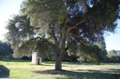 Enlarge photo 172