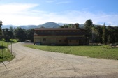 Enlarge photo 181