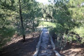 Enlarge photo 217