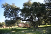 Enlarge photo 220