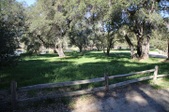 Enlarge photo 221