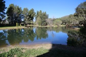 Enlarge photo 230