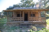 Enlarge photo 235