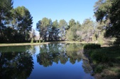 Enlarge photo 238