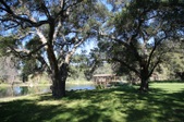 Enlarge photo 240
