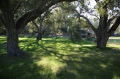 Enlarge photo 244