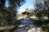 Enlarge photo 248