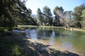 Enlarge photo 250