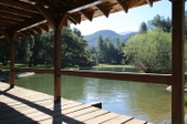 Enlarge photo 256