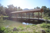 Enlarge photo 257
