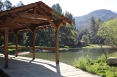 Enlarge photo 258