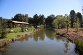 Enlarge photo 262