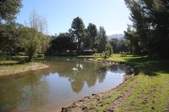 Enlarge photo 270