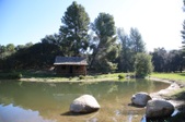 Enlarge photo 278