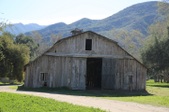 Enlarge photo 279
