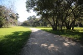 Enlarge photo 308