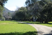 Enlarge photo 309