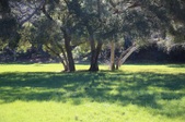 Enlarge photo 312
