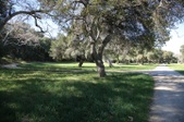 Enlarge photo 316