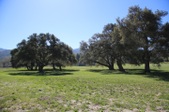 Enlarge photo 431