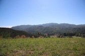 Enlarge photo 442