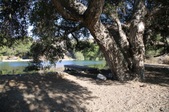 Enlarge photo 26
