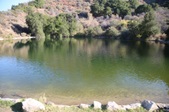 Enlarge photo 33