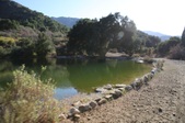 Enlarge photo 35