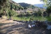 Enlarge photo 36