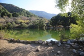 Enlarge photo 37