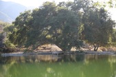 Enlarge photo 39