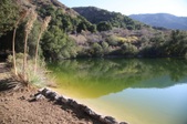Enlarge photo 40