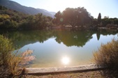 Enlarge photo 41