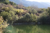 Enlarge photo 42