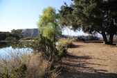 Enlarge photo 43