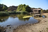 Enlarge photo 51