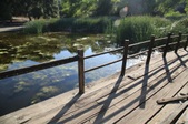 Enlarge photo 61