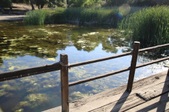 Enlarge photo 63