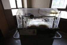 Enlarge photo 22