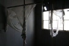 Enlarge photo 62