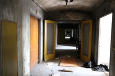 Enlarge photo 65